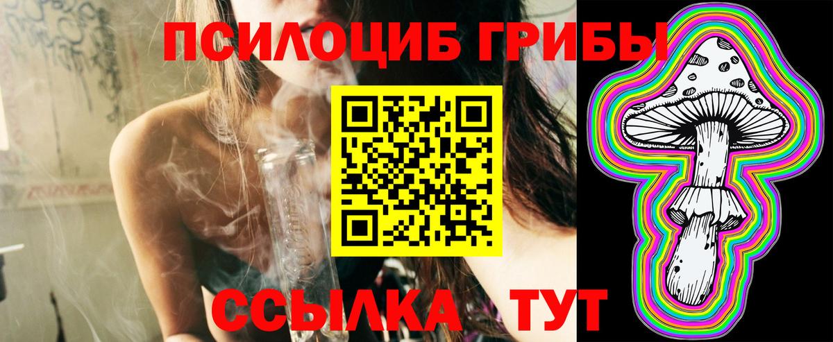 Белая Калитва  где найти наркотики  Вход с VPN  Псилоцибиновые грибы Psilocybine cubensis 